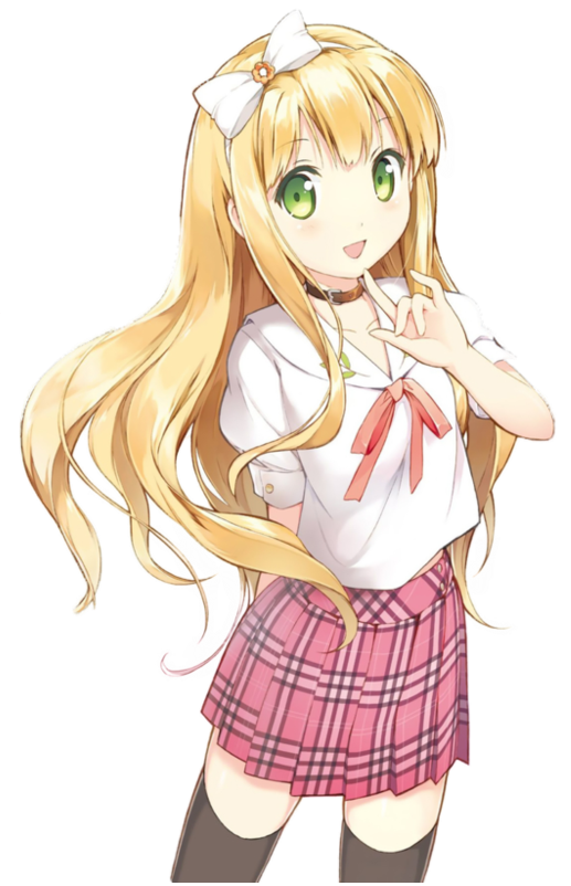 User Image